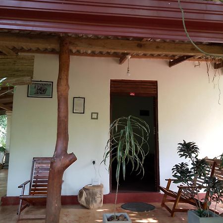 Thilina Homestay Sigiriya Rum bild