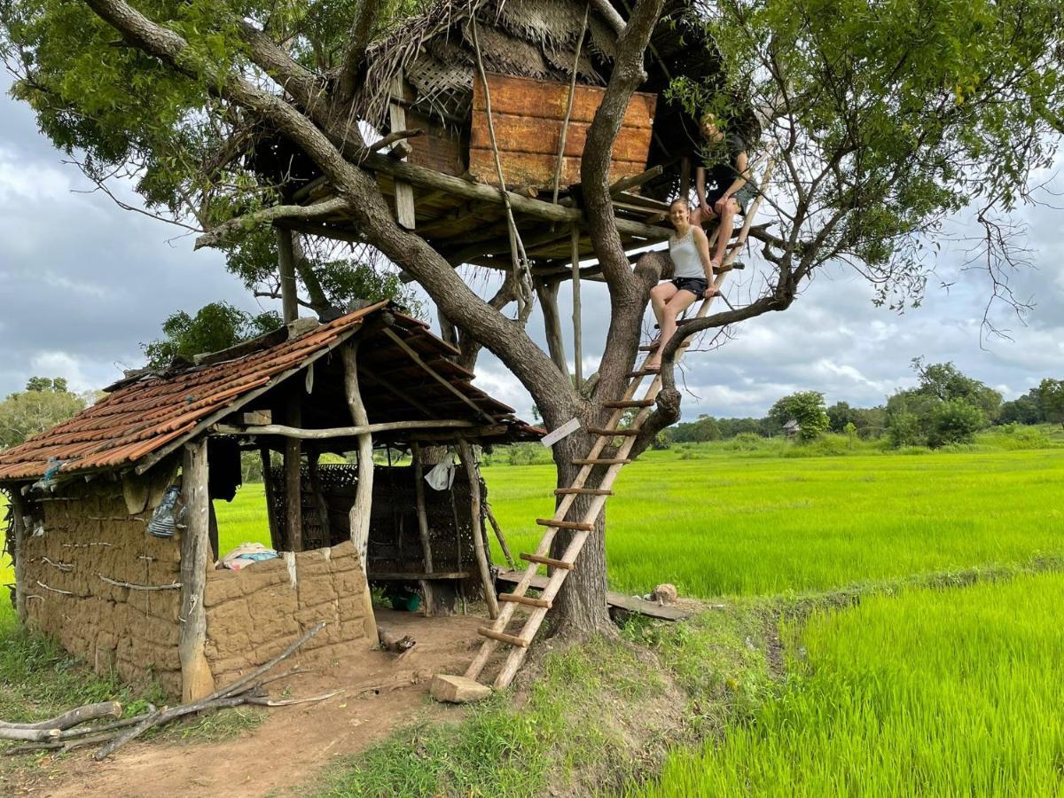 Thilina Homestay Sigiriya Exteriör bild