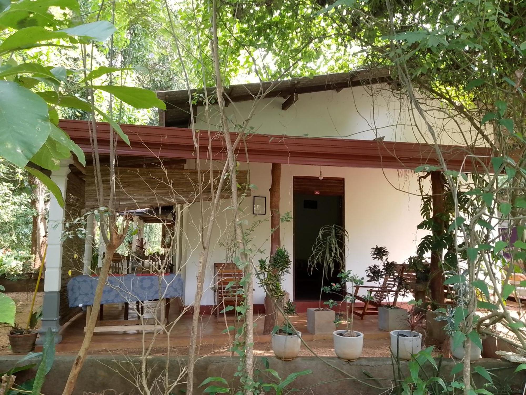 Thilina Homestay Sigiriya Rum bild